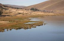 Private Qeswachaka Bridge & Four Lagoons Tour 1 Day