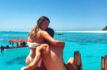 Unforgettable ocean safari experience