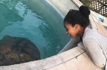 Bermuda Gems and Private Resort Beach Day Experience