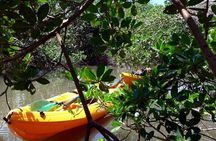 South Caribbean Tour in Martinique