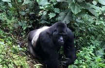 6 Days Rwanda Uganda Budget Wildlife Safari