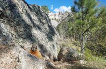 Premiere Private Black Hills Tour: Mt Rushmore, Crazy Horse & Custer State Park
