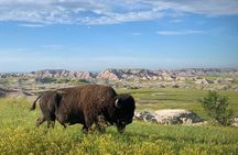 Premier Private Badlands Day Tour