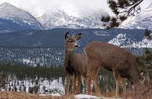 Lower Valley Tour RMNP