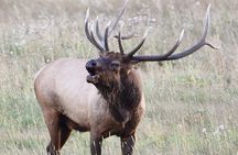 Lower Valley Tour RMNP