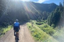 Bike Adventure on the Mickelson Trail - Private