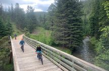 Bike Adventure on the Mickelson Trail - Private