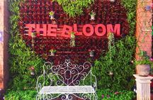 Khao Yai national Park day tour from Bangkok