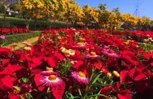 Khao Yai national Park day tour from Bangkok