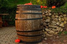 Bratislava 3-Hour Wine Tasting
