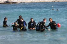 Scuba Diving in Naxos by Bluefindivers - Dive in Greece - Amazing Diving Spots