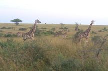 3 days Murchison Falls safari