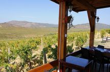 Private Wine Tour of Chateau Sopot Winery from Skopje