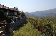 Private Wine Tour of Chateau Sopot Winery from Skopje