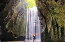 Ubud Waterfall Experience