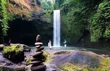 Ubud Waterfall Experience