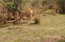 3 day maasai mara budget Camping Group safari