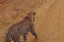 3 day maasai mara budget Camping Group safari