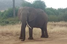 3 day maasai mara budget Camping Group safari