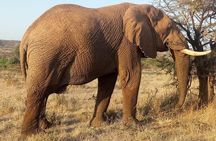 3 day maasai mara budget Camping Group safari