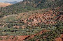 Half Day Walk in the Atlas Mountains - Unique experience 
