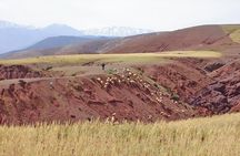 Half Day Walk in the Atlas Mountains - Unique experience 