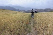 Half Day Walk in the Atlas Mountains - Unique experience 