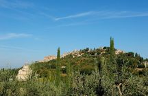 Discover Montepulciano: Cinta Senese Pigs, Lunch & wine in a Farm