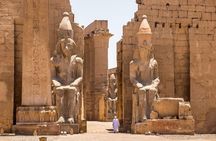 Private Half Day Tour : karnak Temple and Luxor Temple 