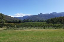Cape Winelands and Wine Tasting Full Day Tour