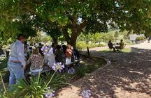 Cape Winelands and Wine Tasting Full Day Tour