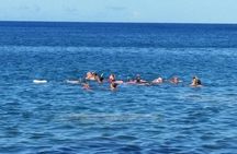 Captain's Most Popular Snorkeling and Beach Day with Lunch 