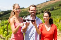 Radda in Chianti: Wine Tasting Tour with lunch at the Winery