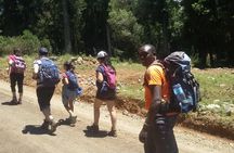 5 Days Mt. Kenya Sirimon route out Chogoria Route with Peak Circuit