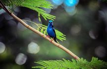 La Fortuna Guided Day Nature Experience 2hrs