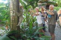 La Fortuna Guided Day Nature Experience 2hrs