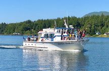 Whale watching & sightseeing tour in Ucluelet, Vancouver Island 
