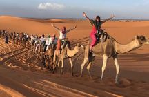 shared group Fez To Fez via Merzouga Desert Tour 2 Days/ 1 Night 