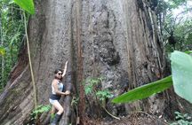 Amazon River Expeditions with Guide for 5 Days 4 Night Ecolodge 