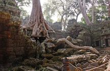 Personalised Angkor Wat Sunrise Off-the-Beaten Track Tour