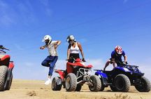 Marrakech Palmeraie Quad Bike Desert Adventure