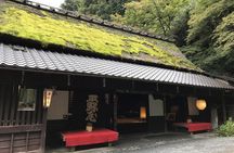 Kyoto: Descending Arashiyama (Private)