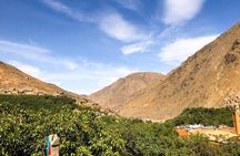 Marrakech to the Atlas Mountains: Nature, Culture& Three Valleys