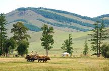 A day trip to Terelj National Park and Statue of Chinggis Khan 