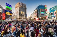 Tokyo Private Tour by Vehicle with English-Speaking Chauffeur