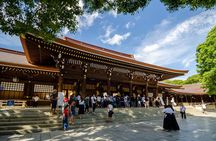 Tokyo Private Tour by Vehicle with English-Speaking Chauffeur