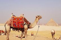 Airport Transfer + tour inside Giza pyramids, Sphinx and Valley temple
