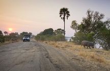 Game Drive in Mosi-Oa-Tunya National Park