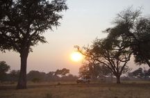 Game Drive in Mosi-Oa-Tunya National Park