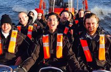  Iconic Sights of London: High-Speed Boat Trip
